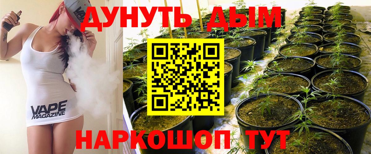 Каннабис MAZAR Топки